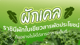 ผักเคล ราชินีผักใบเขียวสารพัดประโยชน์